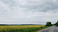 Lukovany