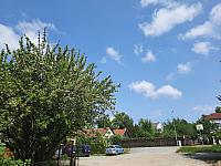 Olešná