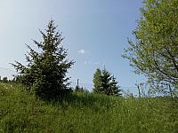 Skalité
