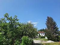 Olešná