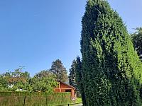 Olešná