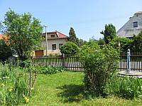 Třibřichy