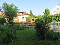 Třibřichy