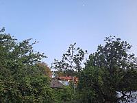 Olešná