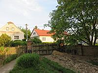 Třibřichy