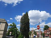Jihlava