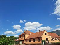Olešná