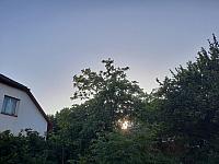 Olešná