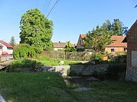 Třibřichy