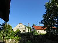 Třibřichy