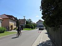 Třibřichy