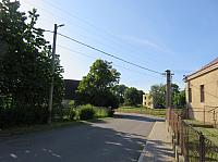 Třibřichy