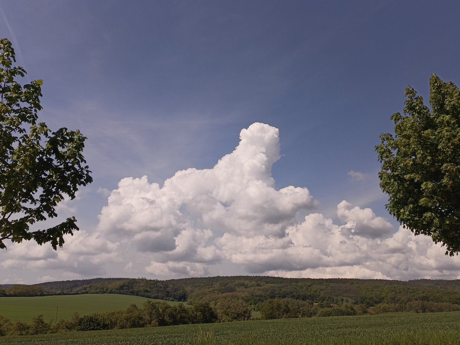 Habrovany