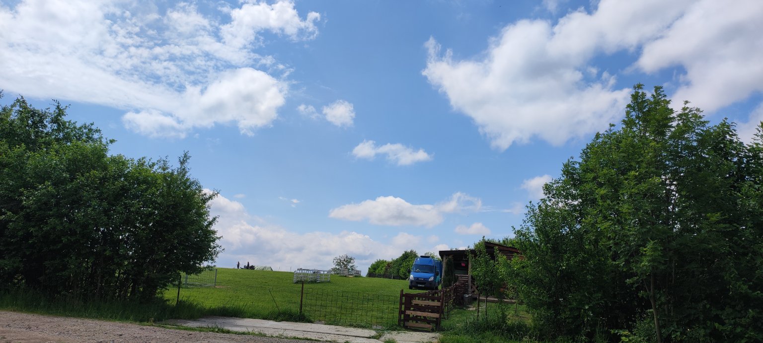 Rybí