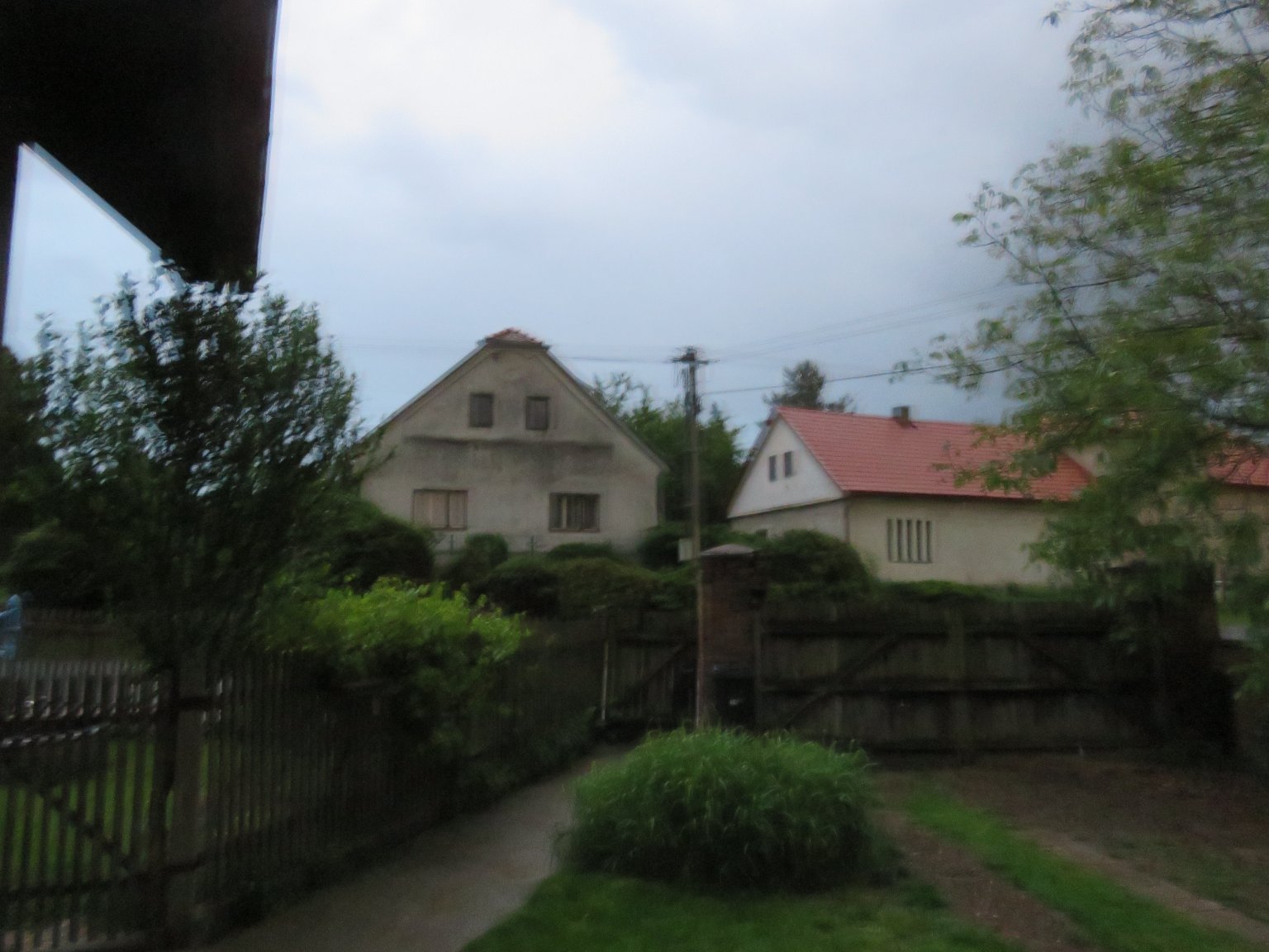 Třibřichy