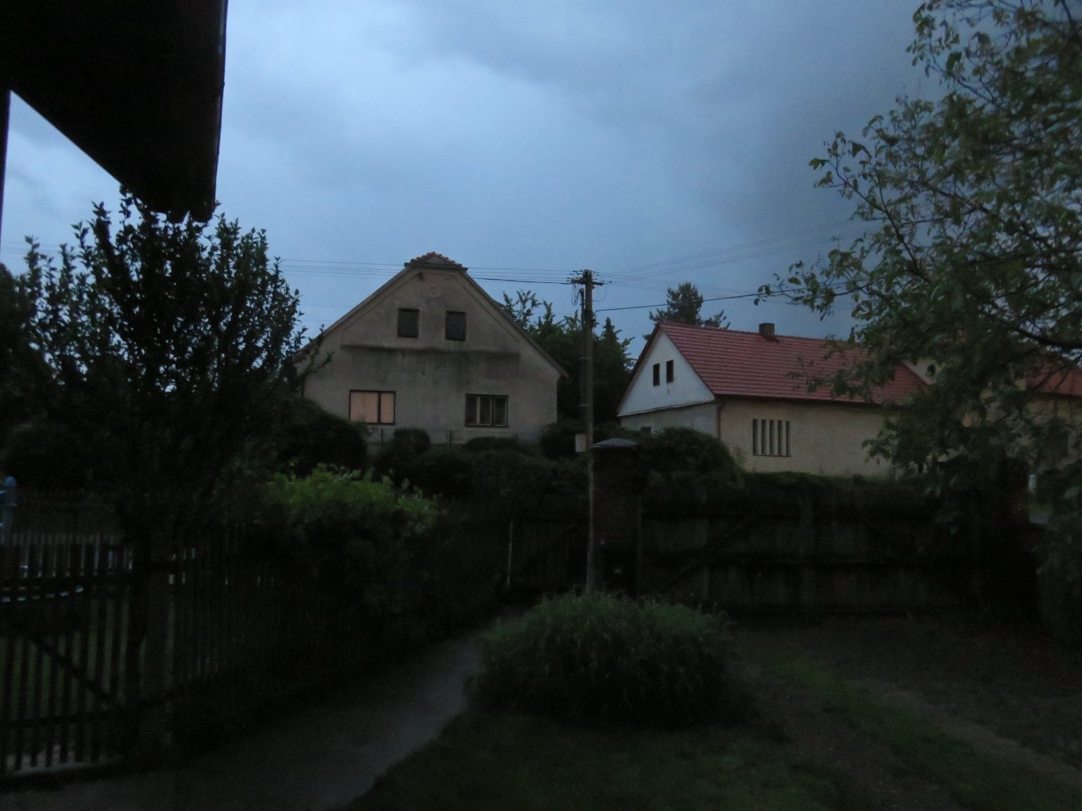 Třibřichy
