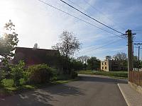 Třibřichy