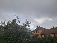 Olešná