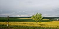 Lukovany