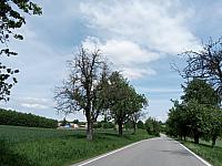 Lukovany