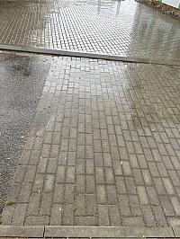 Fotografie