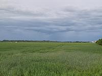 Císařov