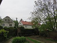 Třibřichy
