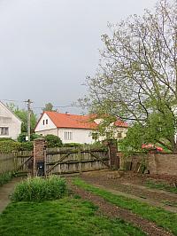 Třibřichy