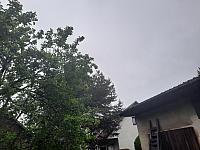 Olešná