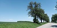 Lukovany