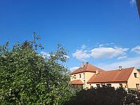 Olešná