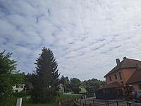 Olešná