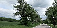 Lukovany
