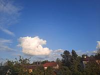 Olešná