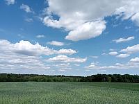 Lukovany