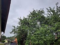 Olešná