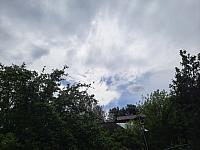 Olešná