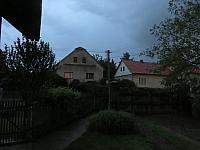 Třibřichy