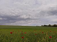 Rousínov