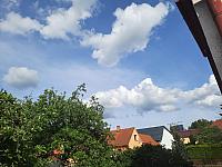 Olešná