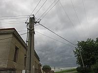 Třibřichy