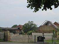Třibřichy