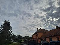 Olešná