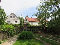 Třibřichy
