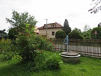 Třibřichy