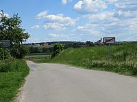 Třibřichy