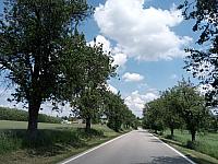 Lukovany