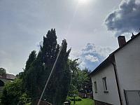 Olešná