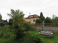 Třibřichy