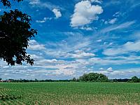 Odrovice